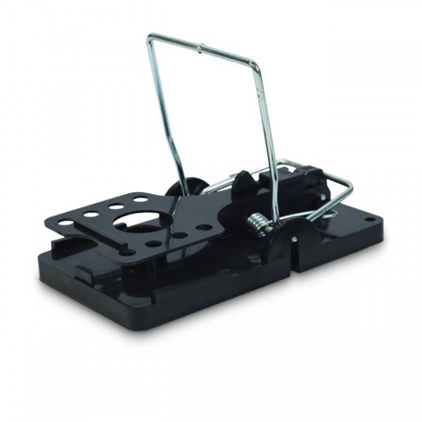 BOITE RAT TRANSPARENTE + TAPETTE RAT